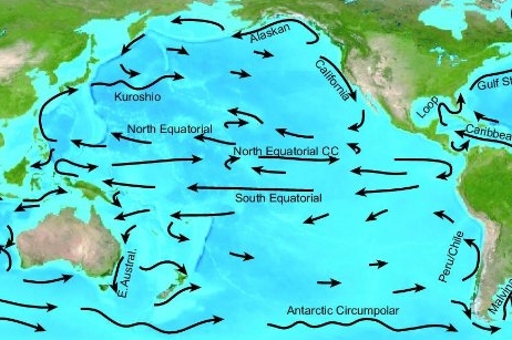 Pacific Ocean Currents.jpg